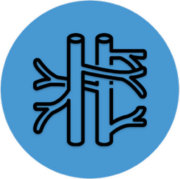 Embolisation vasculaire